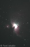 Velká mlhovina v Orionu (M 42)
