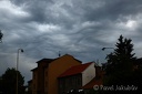 Undulatus asperatus